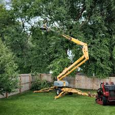 Best Leaf Removal  in Cheswold, DE