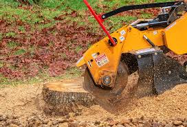 Best Grass Overseeding  in Cheswold, DE